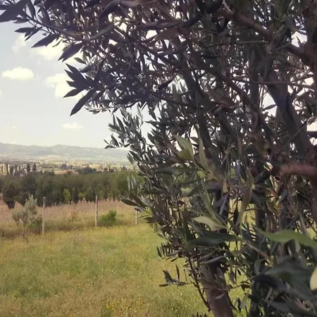 Simplistic Mobile In Castiglione Del Near *